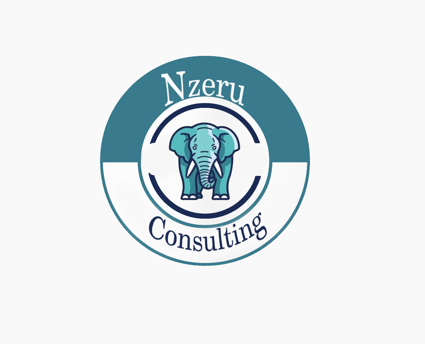 Nzeru Consulting